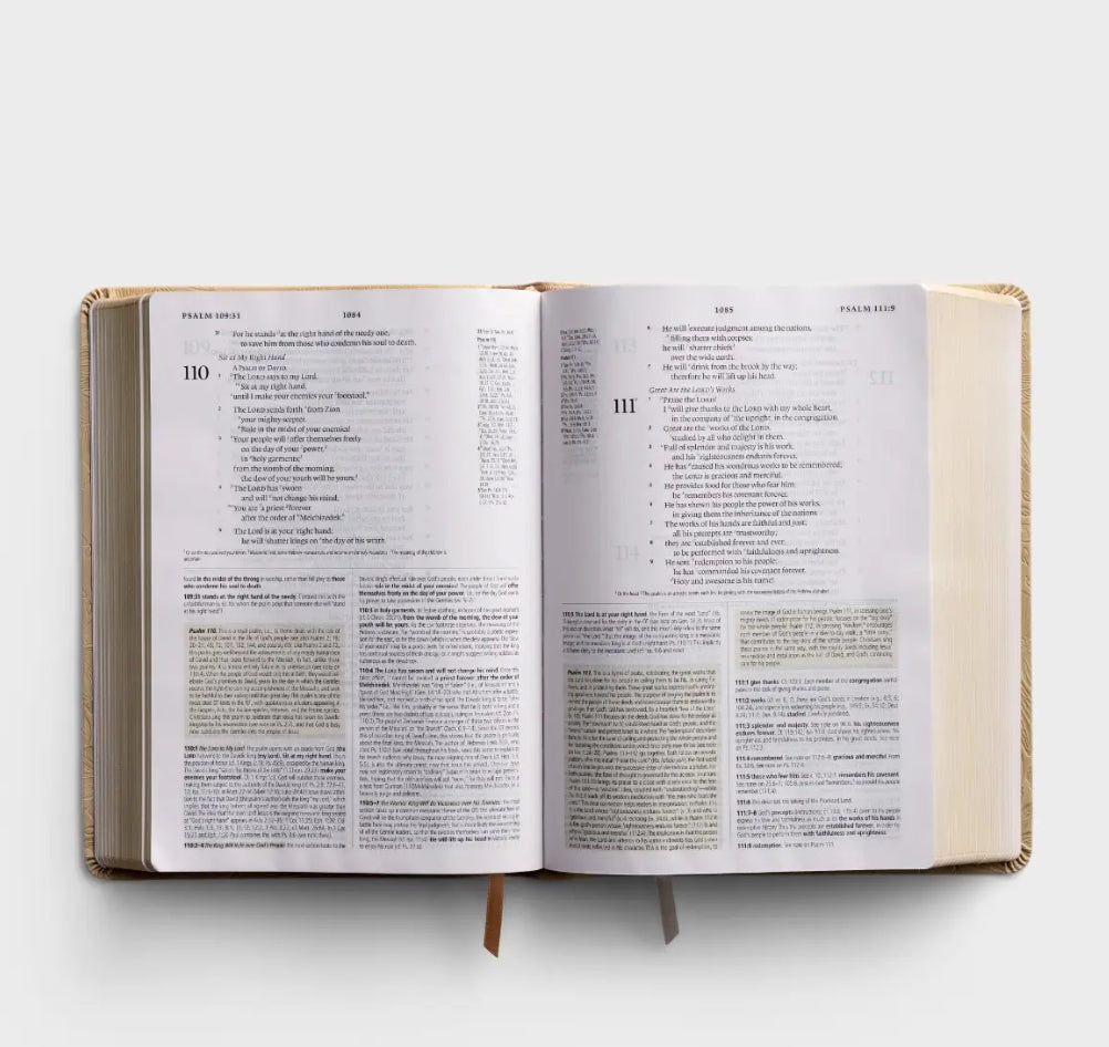 ESV Study Bible: Sonora