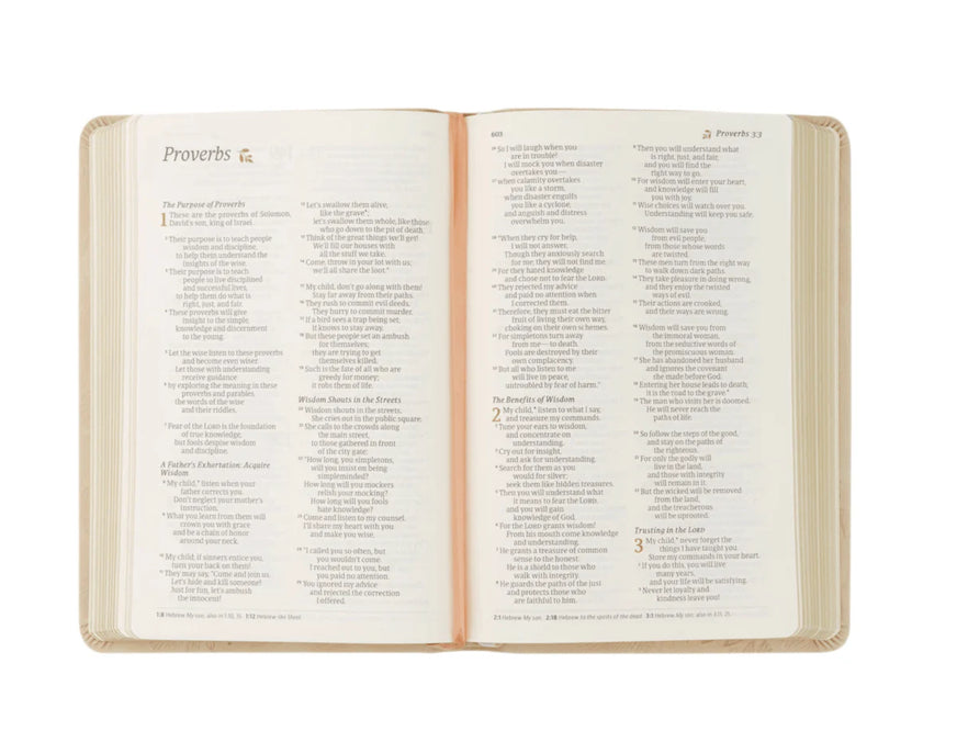 ESV Study Bible: Sonora Theme