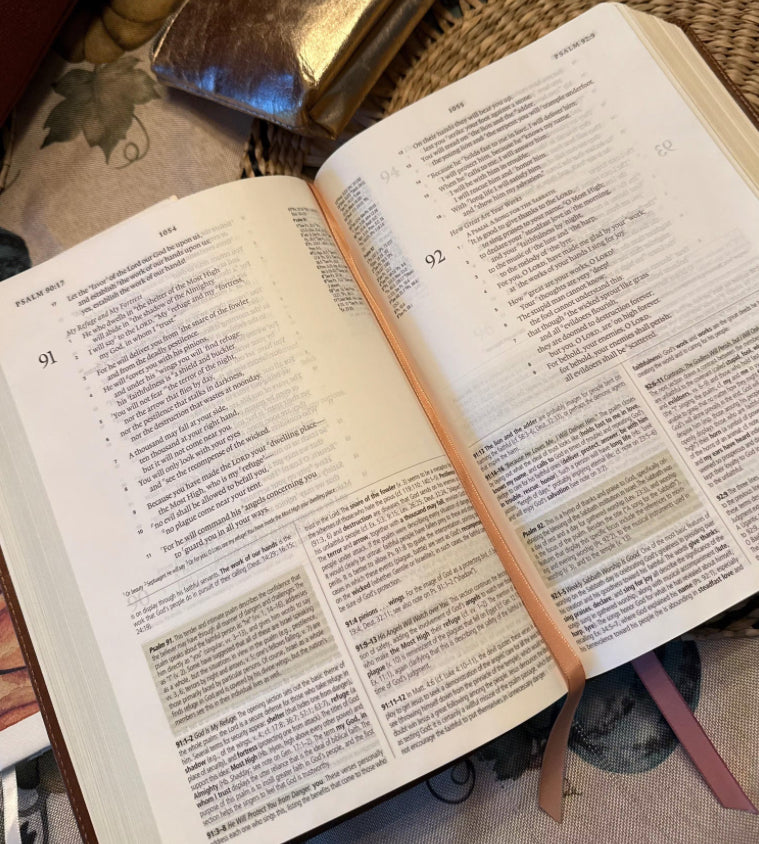 ESV Study Bible : Aurora Theme
