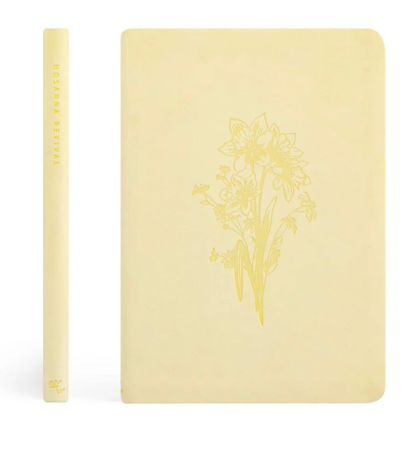 Belfast Notebook