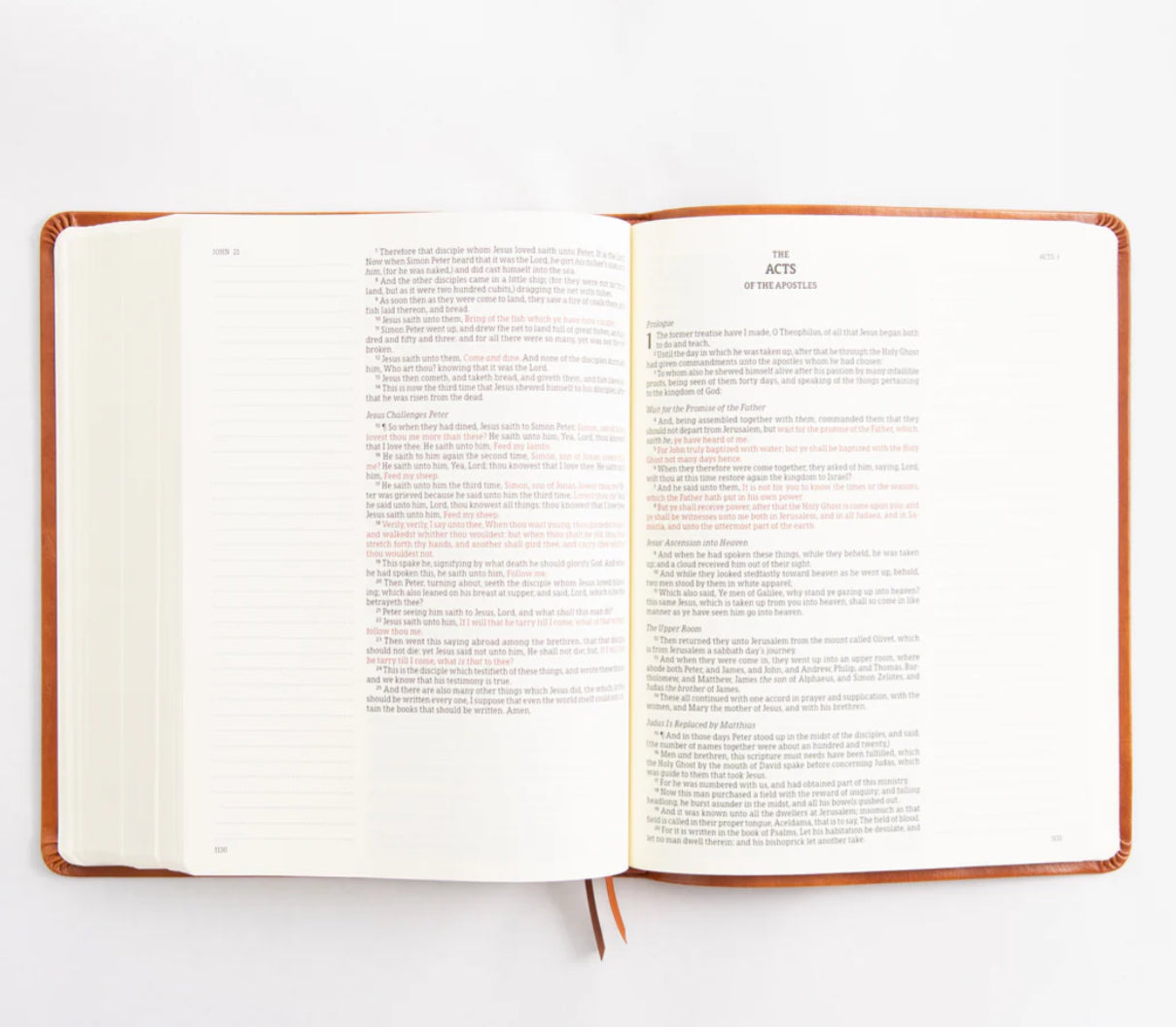 KJV Large Print Bible: Vienna Theme