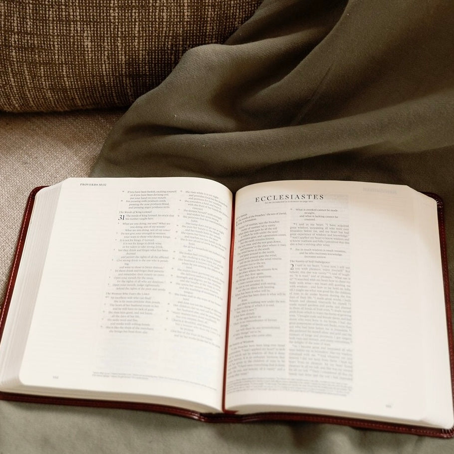 ESV Journaling Bible: Sierra Theme