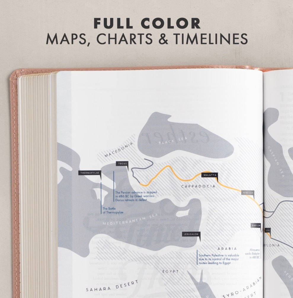 CSB She Reads Truth Bible | Rose Gold LeatherTouch