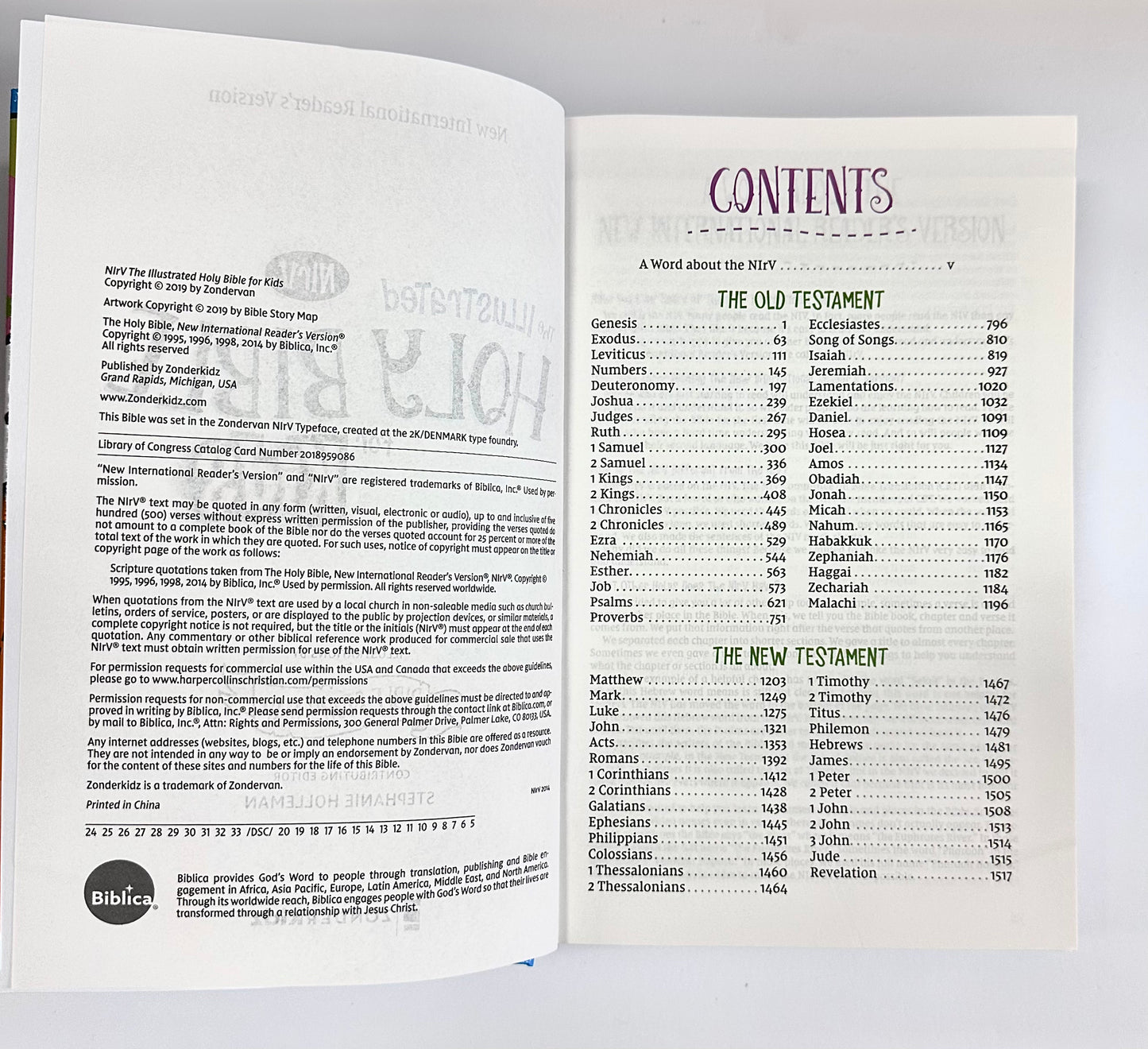 The Illustrated Holy Bible for Kids