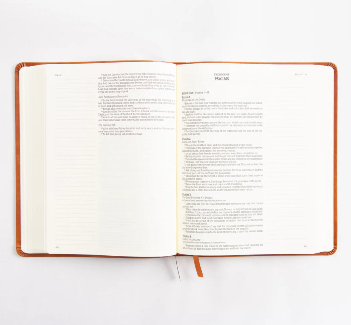 KJV Large Print Bible: Vienna Theme