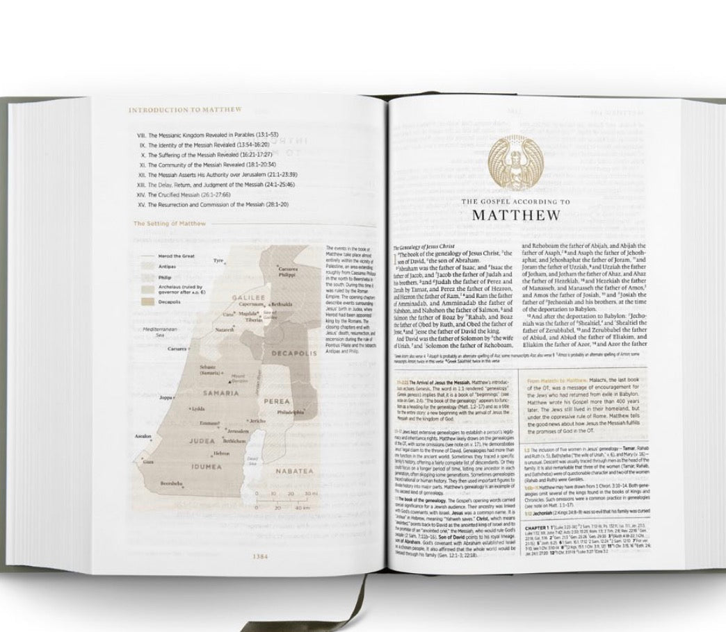 Men's ESV Armor Study Bible