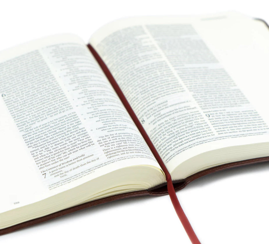 ESV Journaling Bible: Yorkshire Theme