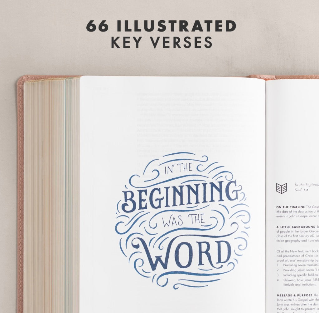 CSB She Reads Truth Bible | Rose Gold LeatherTouch