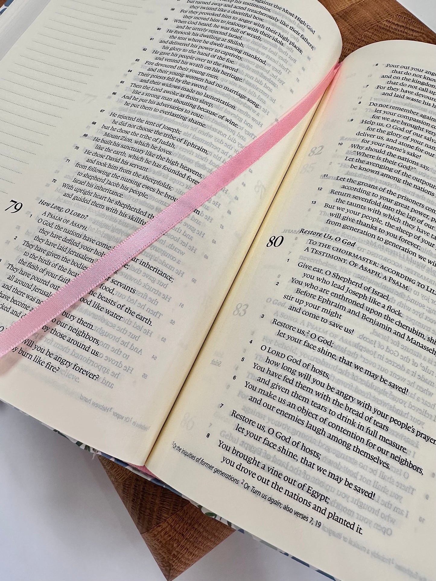 ESV Blue Poppies Journaling Bible