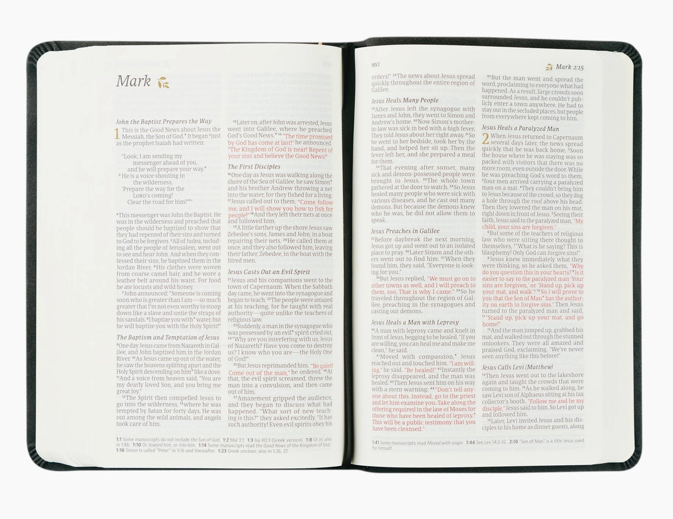 NLT Compact Bible: Jerusalem Theme