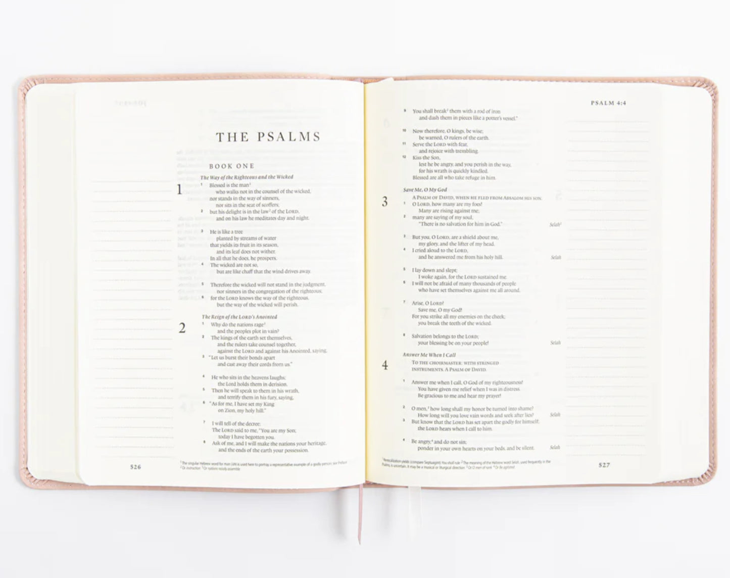 NLT Journaling Bible: Shiloh Theme