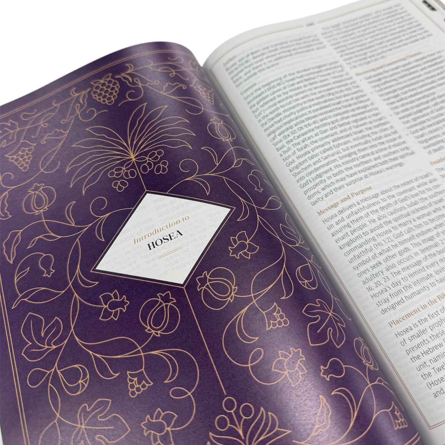 Abundant Harvest CSB Study Bible