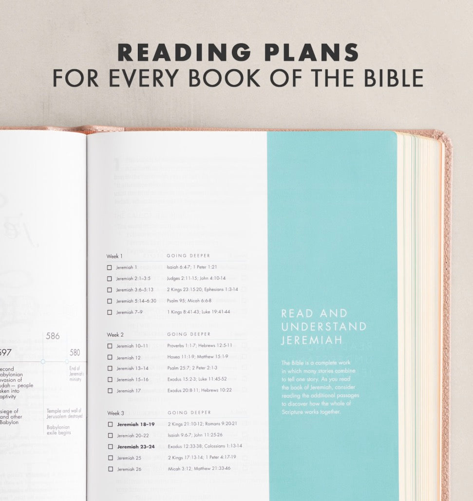 CSB She Reads Truth Bible | Rose Gold LeatherTouch