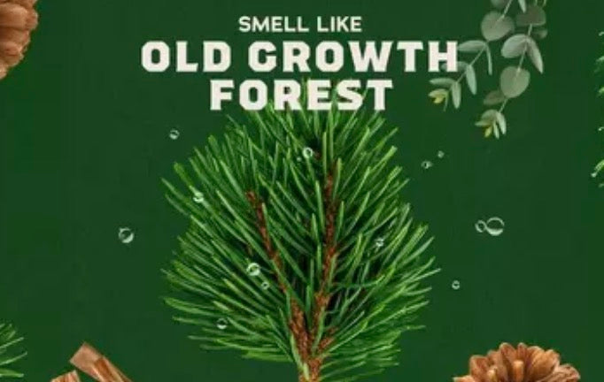 Woodland Pine Beard Oil