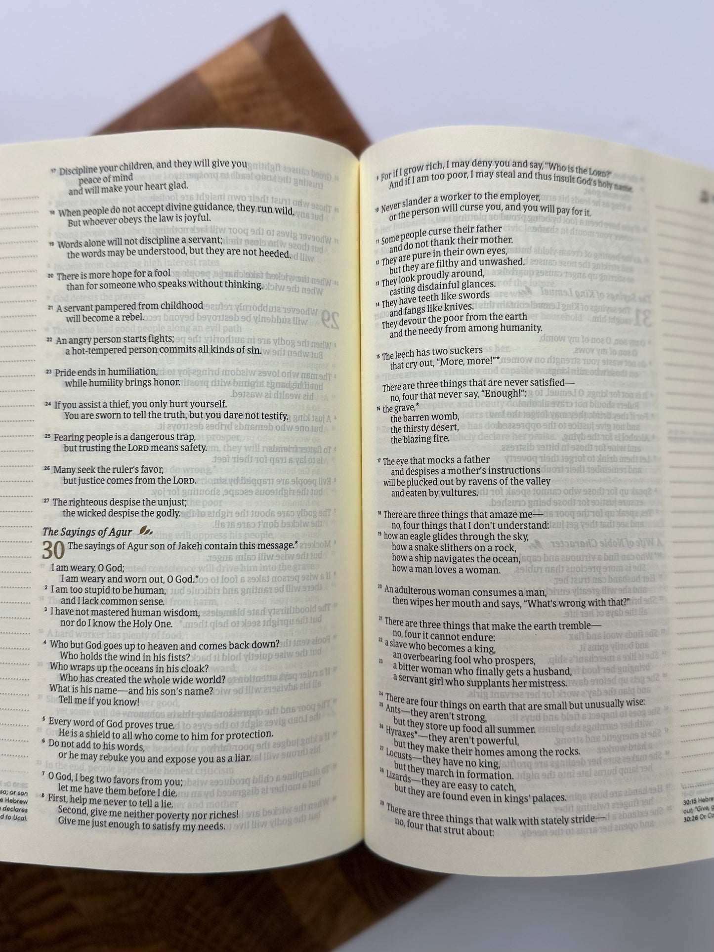 NLT Notetaking Bible: Santa Elena Theme