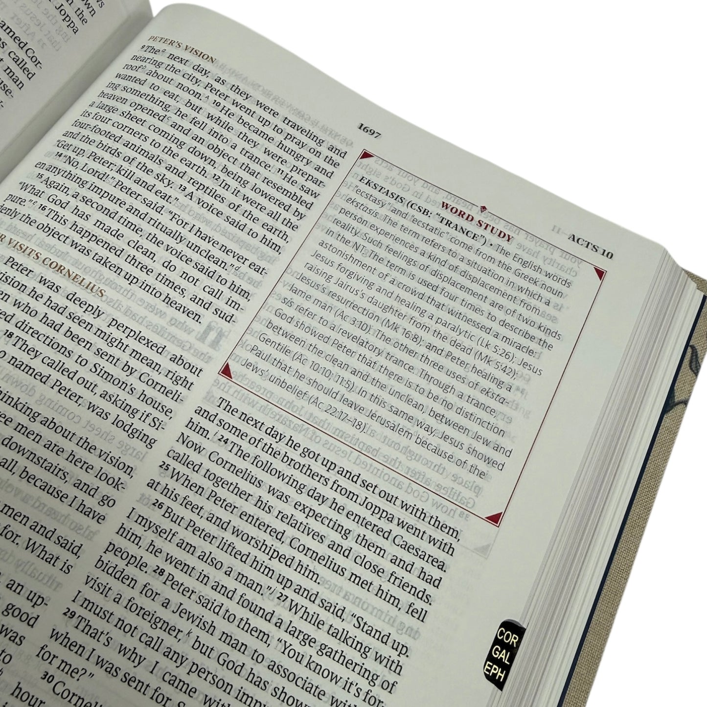 Abundant Harvest CSB Study Bible