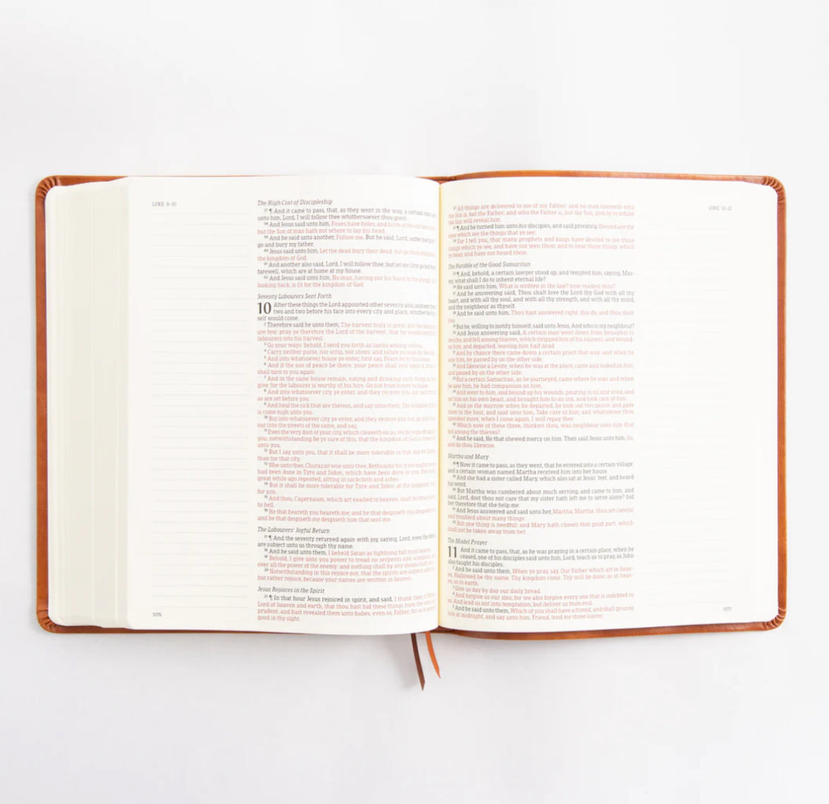 KJV Large Print Bible: Vienna Theme