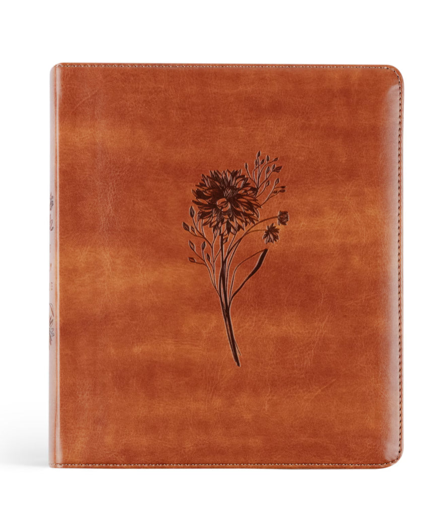 ESV Journaling Bible: Sierra Theme