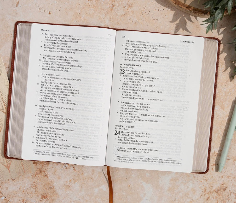 CSB Giant Print Single-Column Bible | Burnt Sienna LeatherTouch