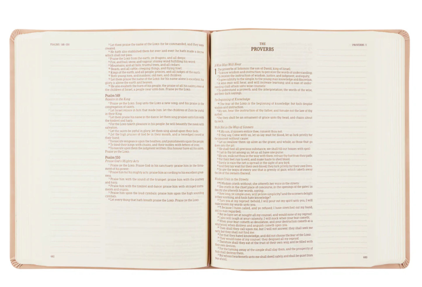 KJV Notetaking Bible Large Print: Shiloh