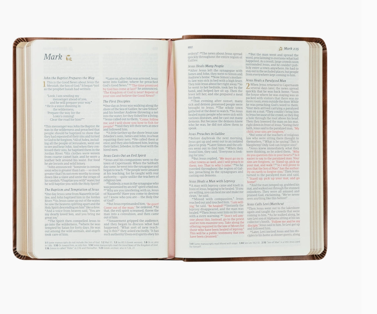 NLT Compact Aurora Bible