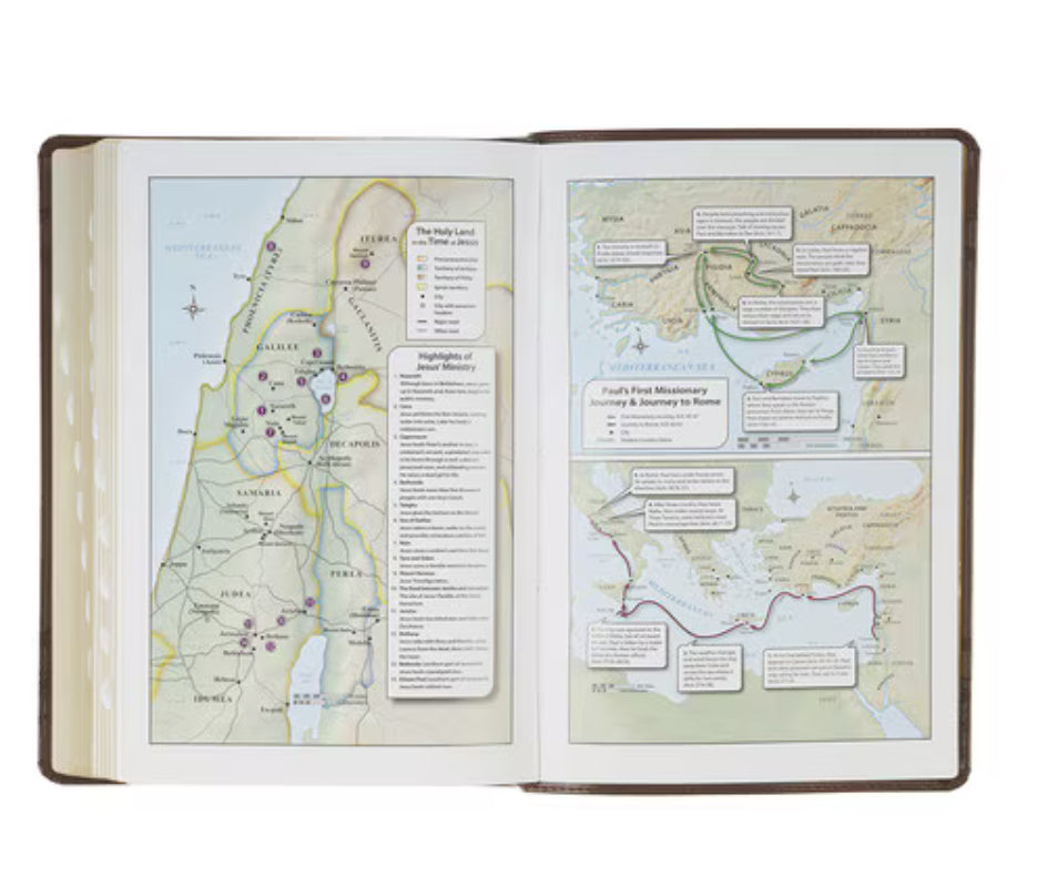 Crown of Thorns KJV Bible