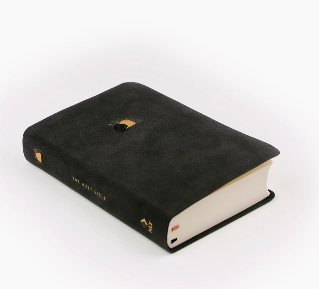 NLT Compact Bible: Jerusalem Theme