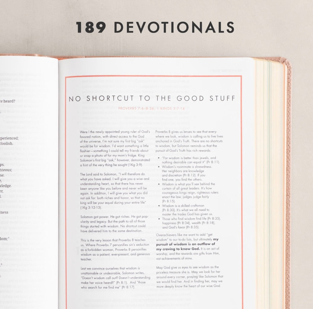 CSB She Reads Truth Bible | Rose Gold LeatherTouch