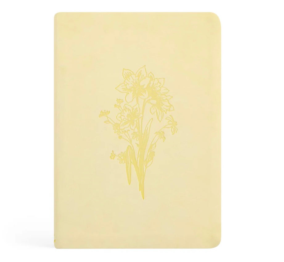 Belfast Notebook