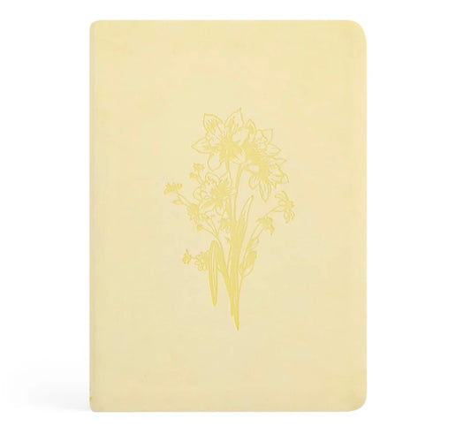 Belfast Notebook