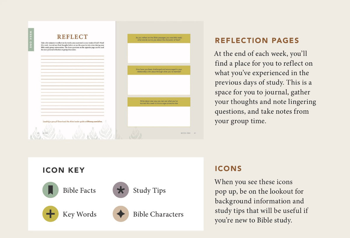 Alive: Growing In Your Relationship With Jesus