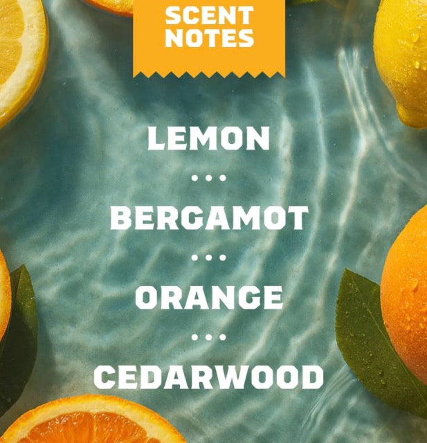 Dr. Squatch Summer Citrus Deodorant