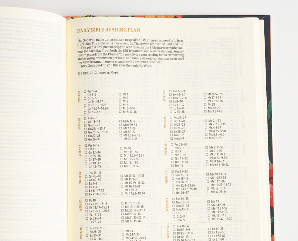 CSB Notetaking Bible | Dahlias