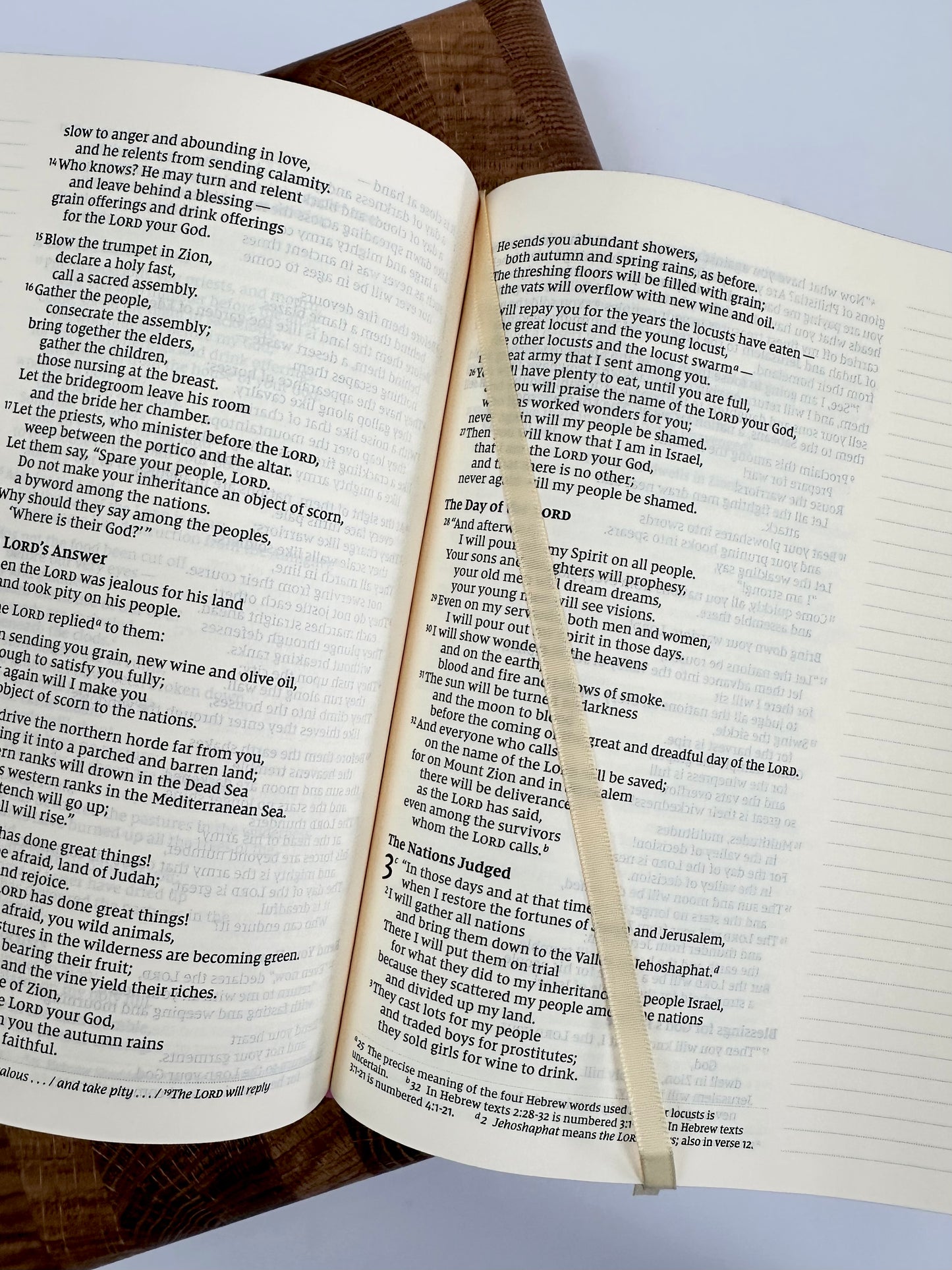 NIV Artisan Collection Bible