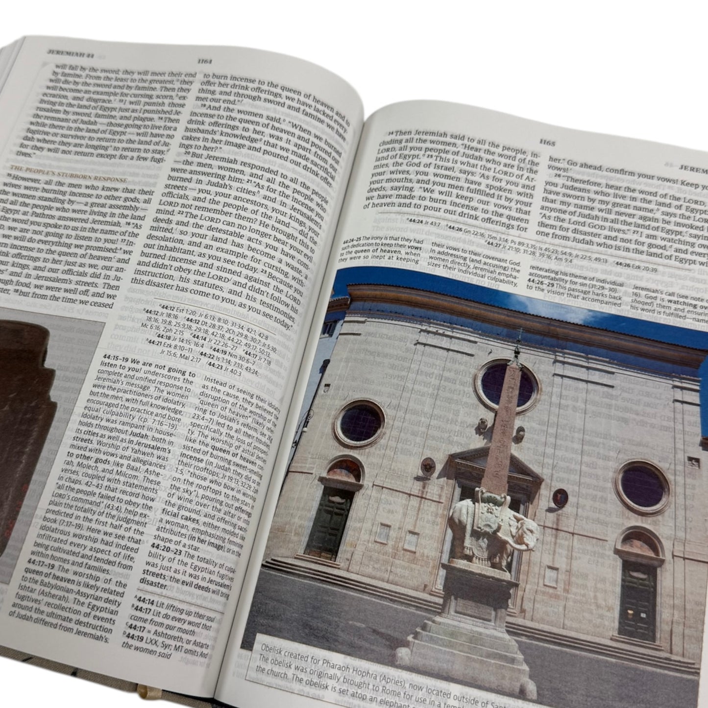 Abundant Harvest CSB Study Bible