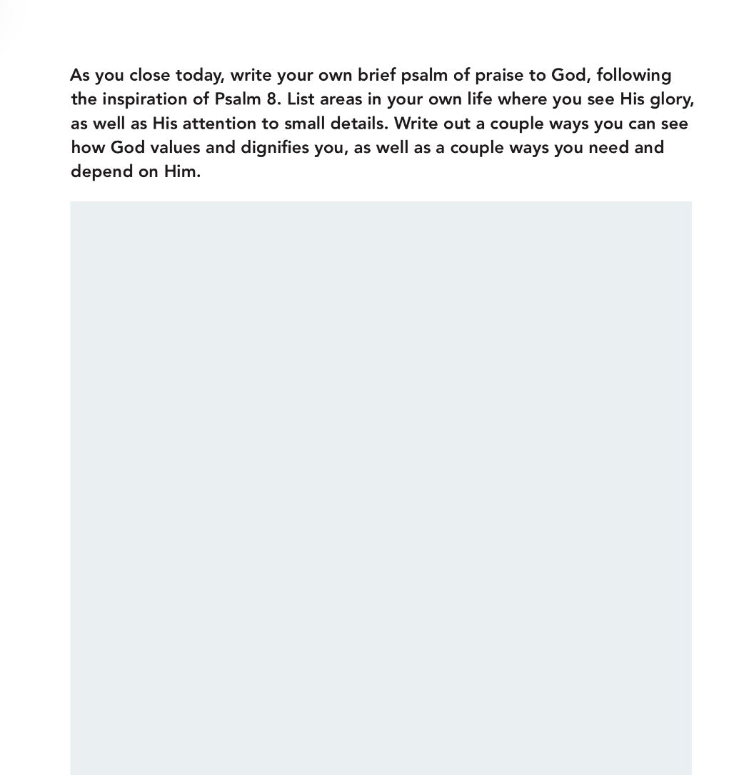 Created on Purpose Teen Bible Study