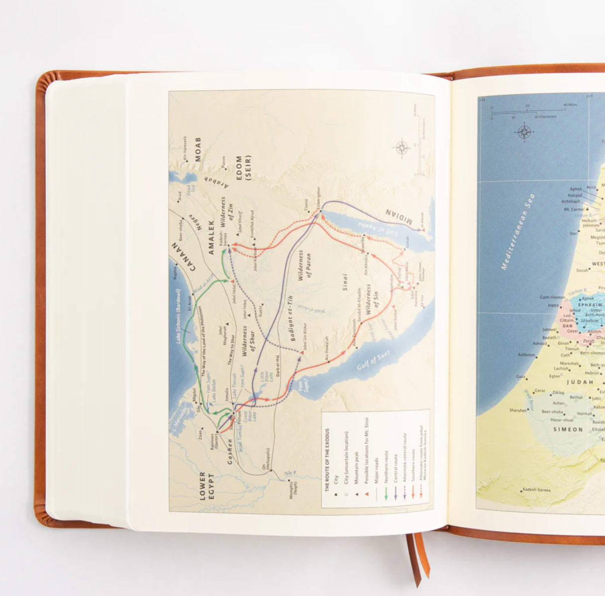 KJV Large Print Bible: Vienna Theme