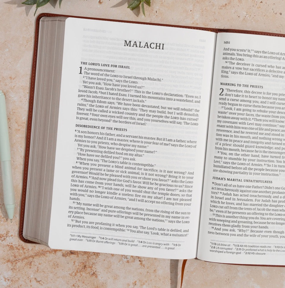 CSB Giant Print Single-Column Bible | Burnt Sienna LeatherTouch