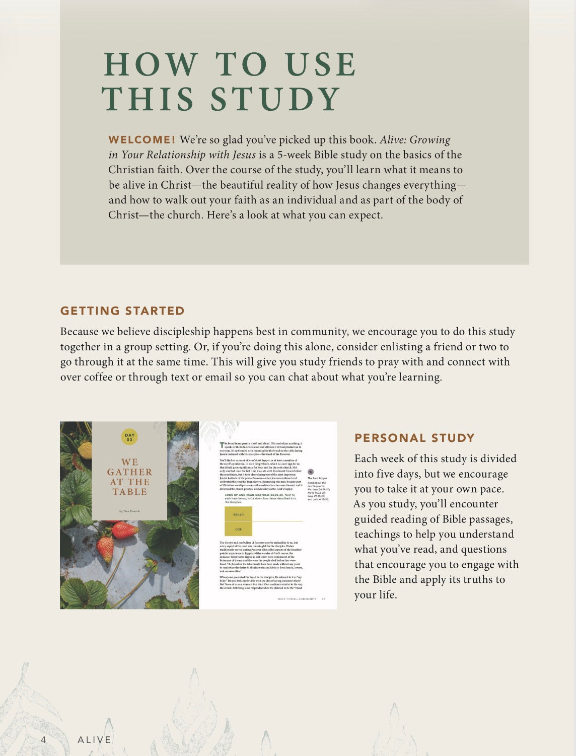 Alive: Growing In Your Relationship With Jesus