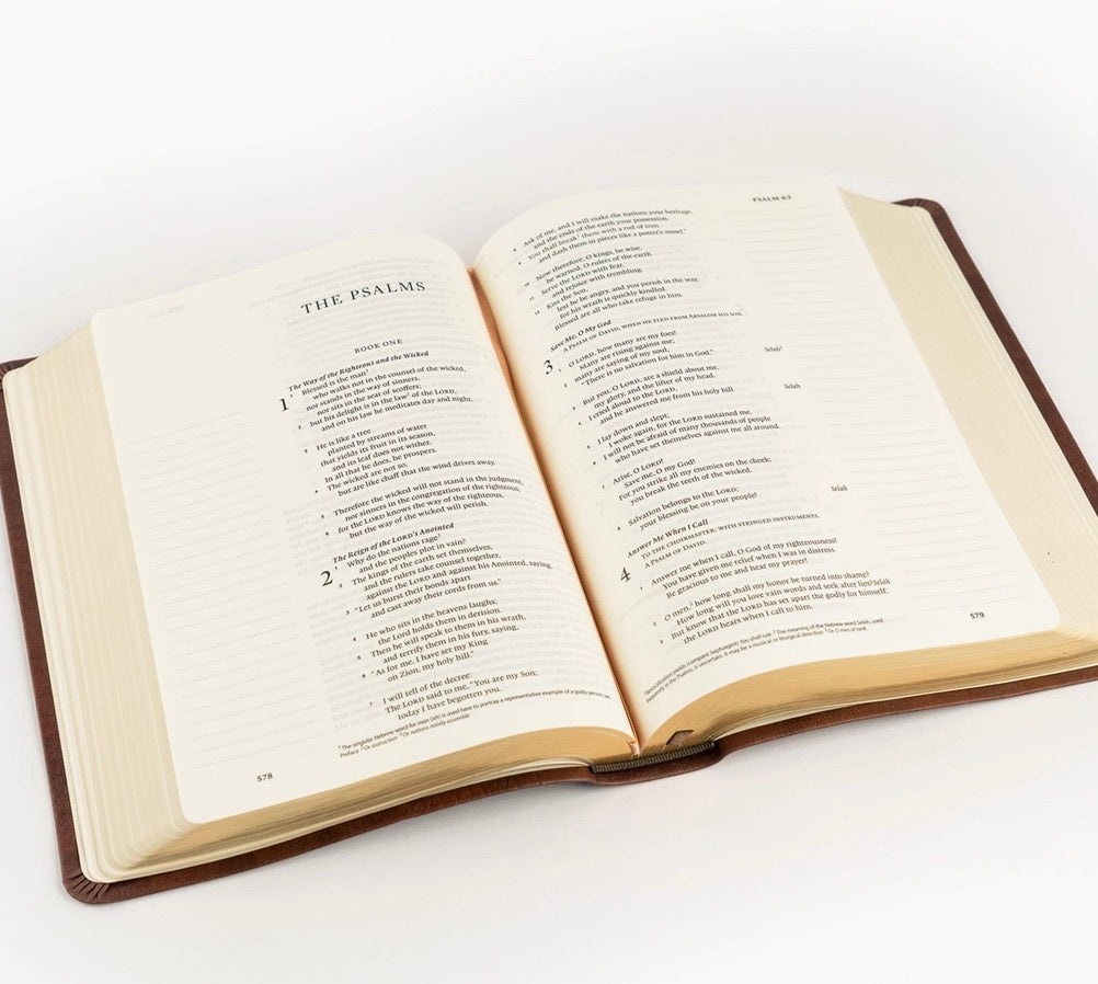 ESV: Palma Journaling Bible