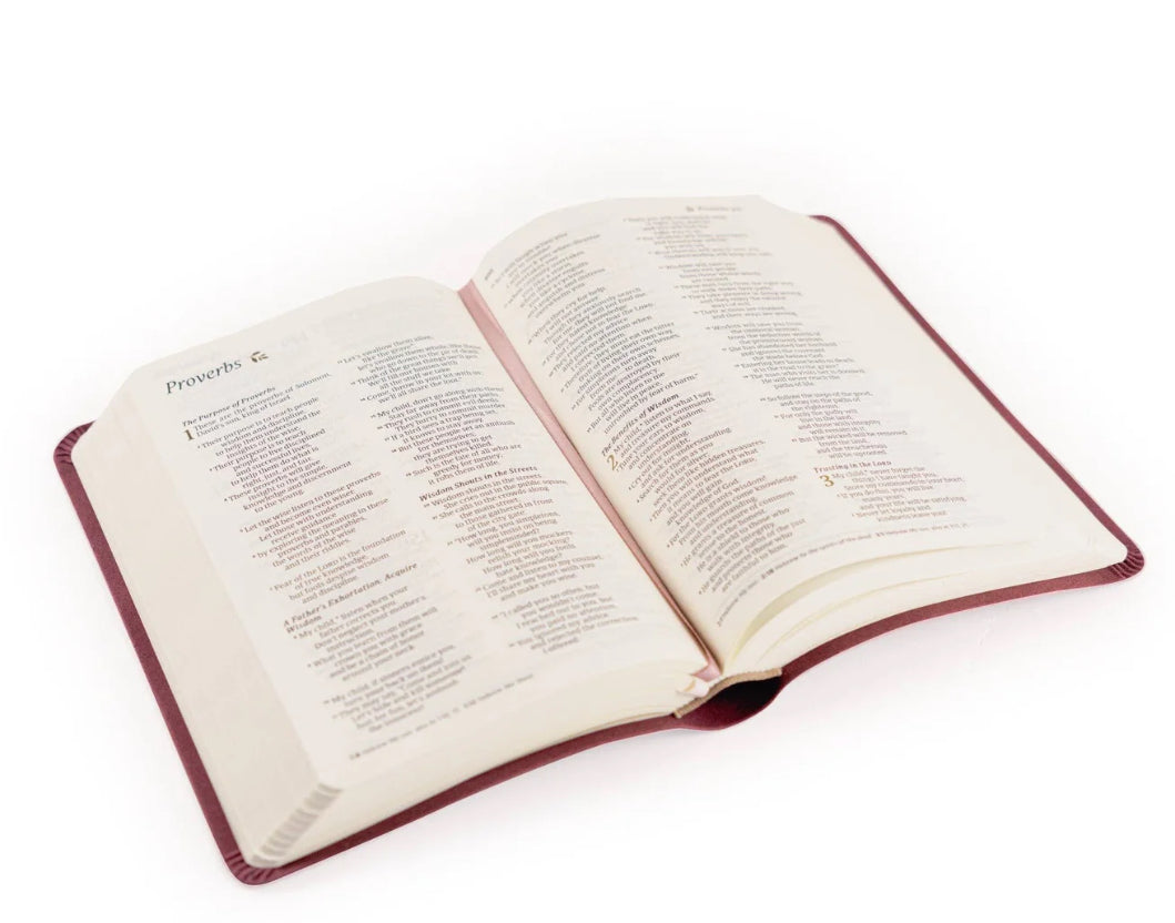NLT Compact Bible: Helena Theme