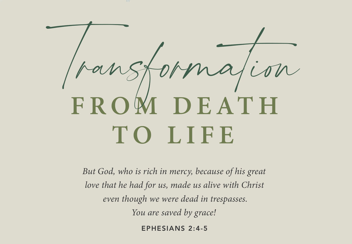 Alive: Growing In Your Relationship With Jesus