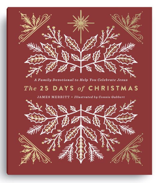 The 25 Days of Christmas