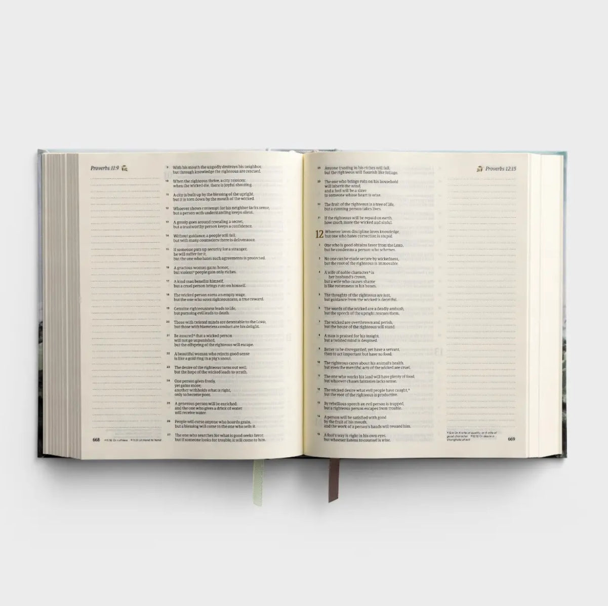 CSB Notetaking Bible: Dublin Theme