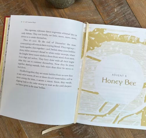 The Advent Mystery of New Beginnings by Gayle Boss