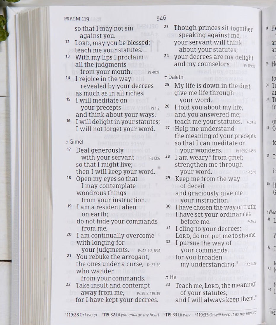 Family Bible CSB