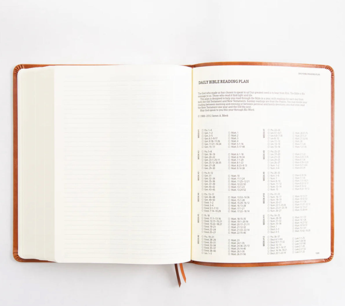 KJV Large Print Bible: Vienna Theme