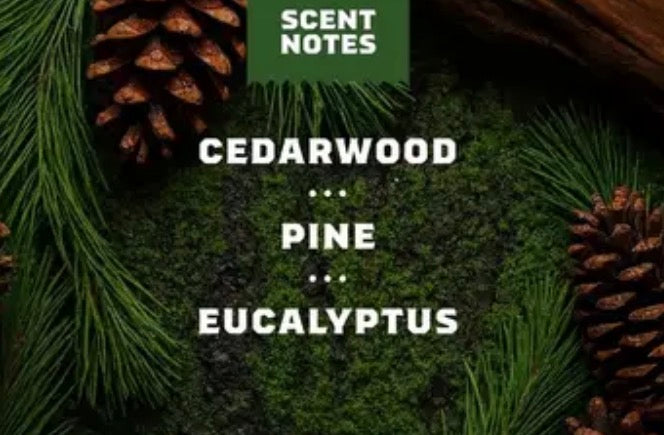 Woodland Pine Beard Oil