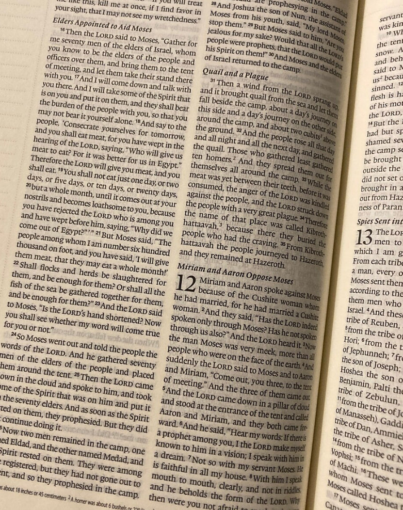 ESV Journaling Bible: Sierra Theme