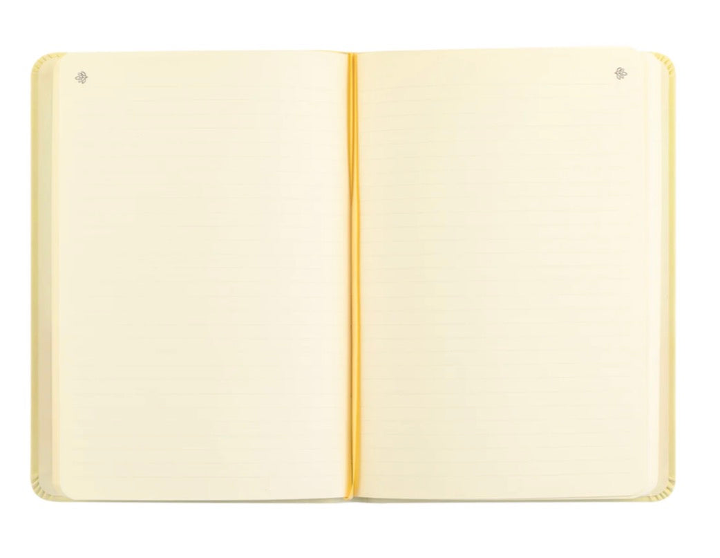 Belfast Notebook